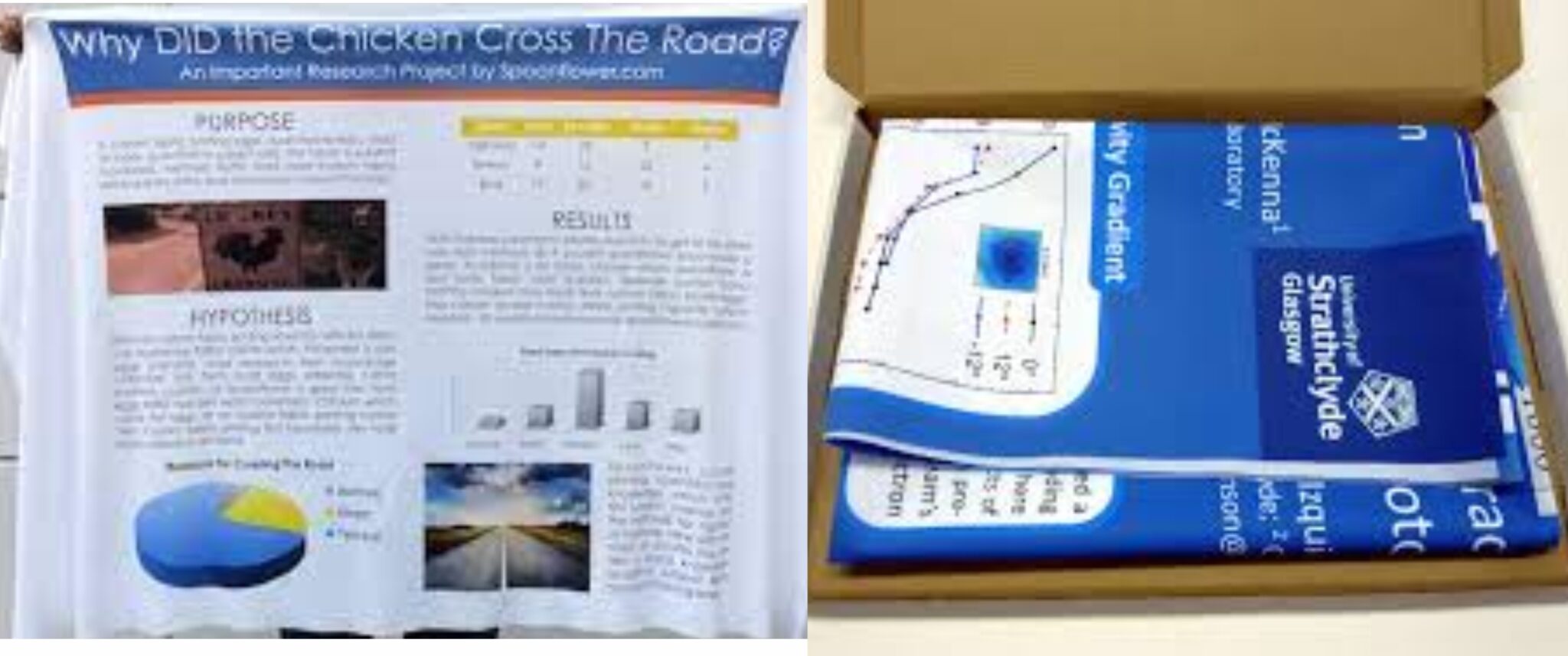 Looking Best Cloth Poster Printing Services Near Me